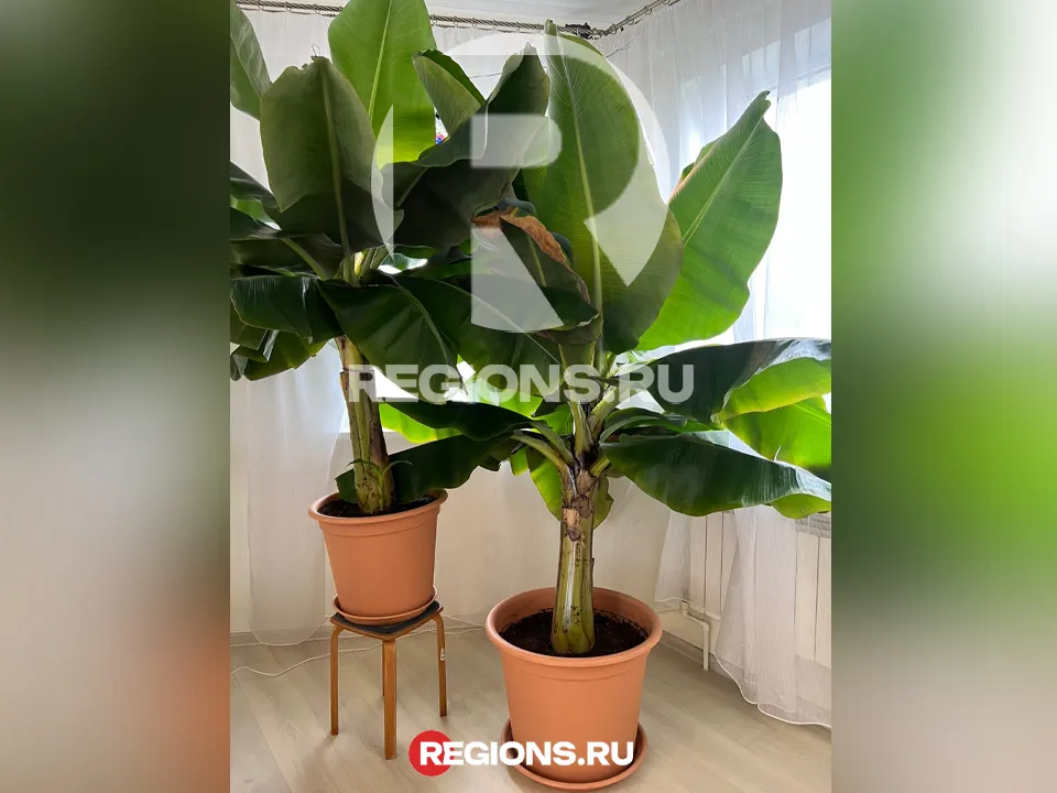 Фото: Светлана Дмитриева