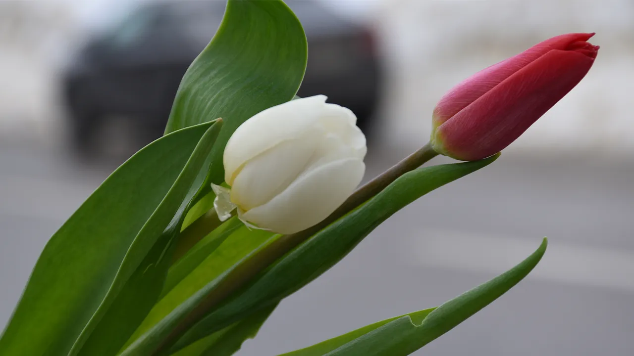 REGIONS/Евгений Мазепов