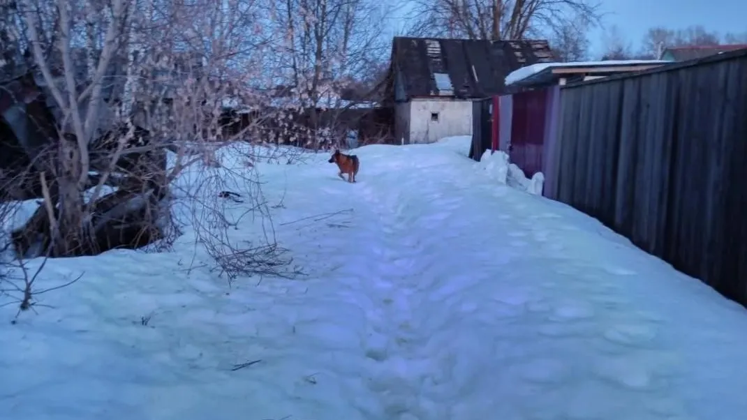 ГКУ МО «Мособлпожспас»