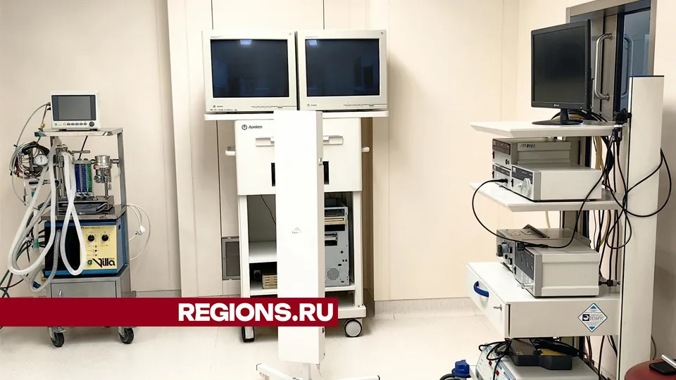 Фото: REGIONS/Елена Катасонова