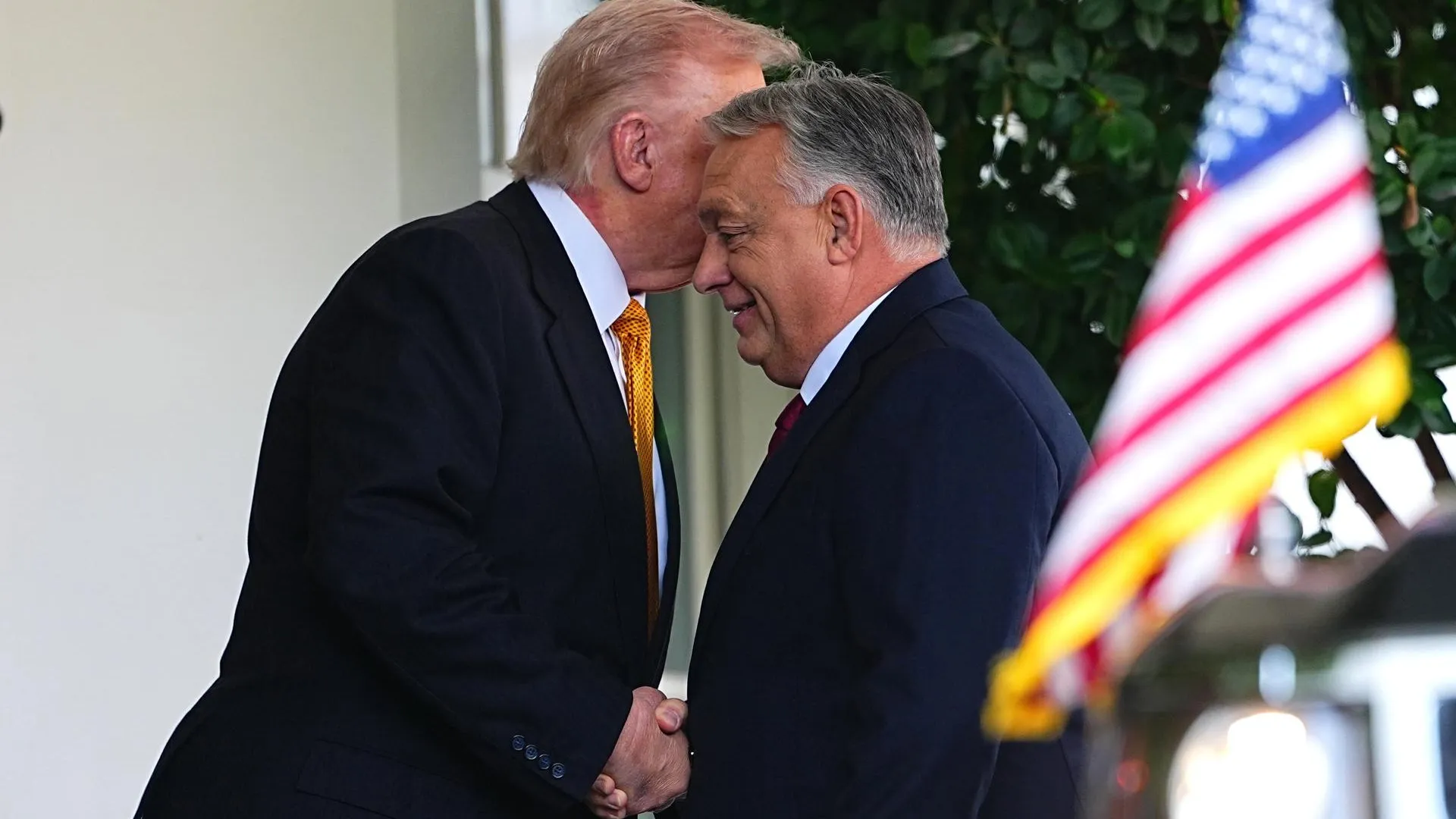 Aaron Schwartz - Pool via CNP/Consolidated News Photos