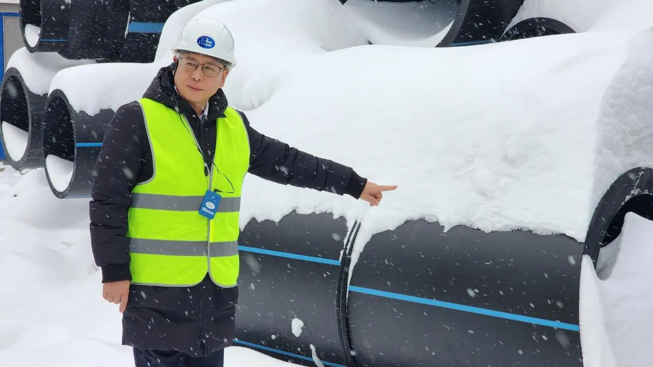 REGIONS/Мария Шигорева