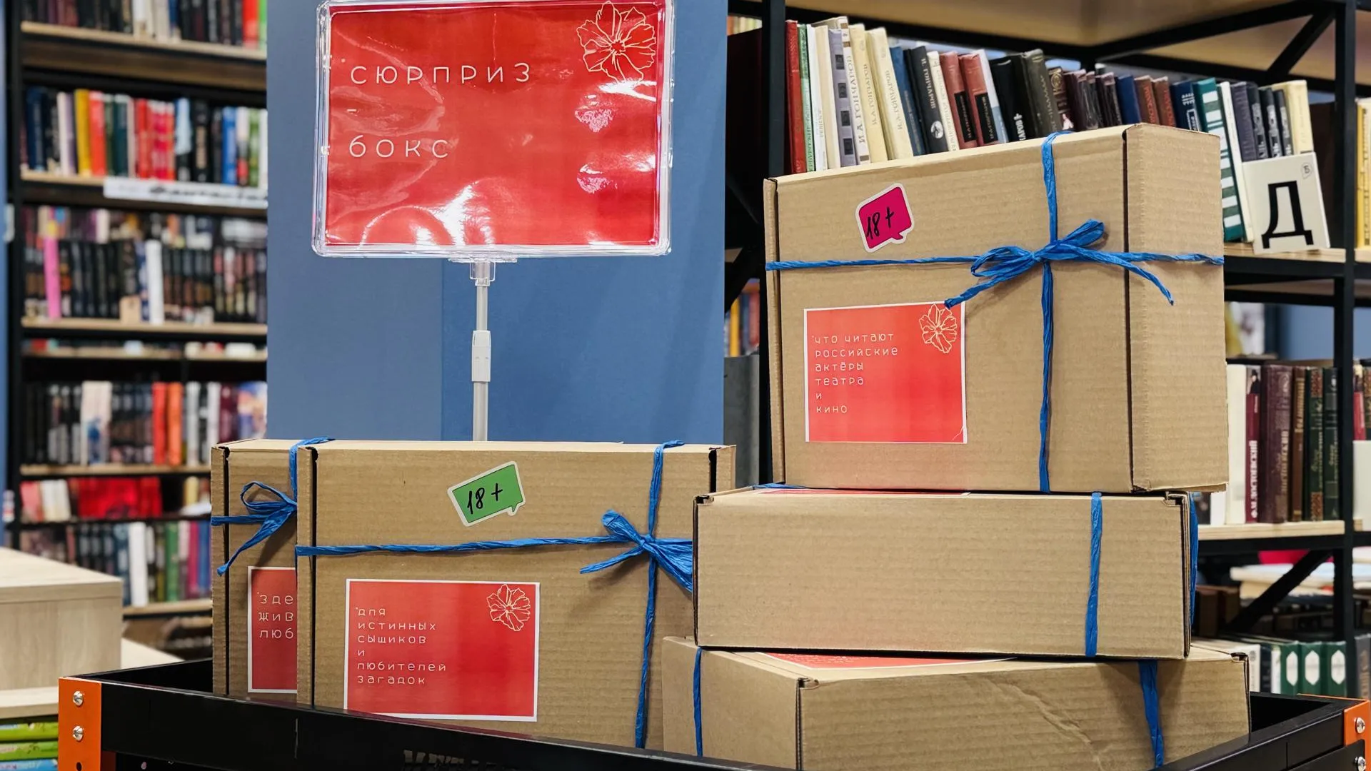 МедиаБанк Подмосковья/Ольга Стаферова