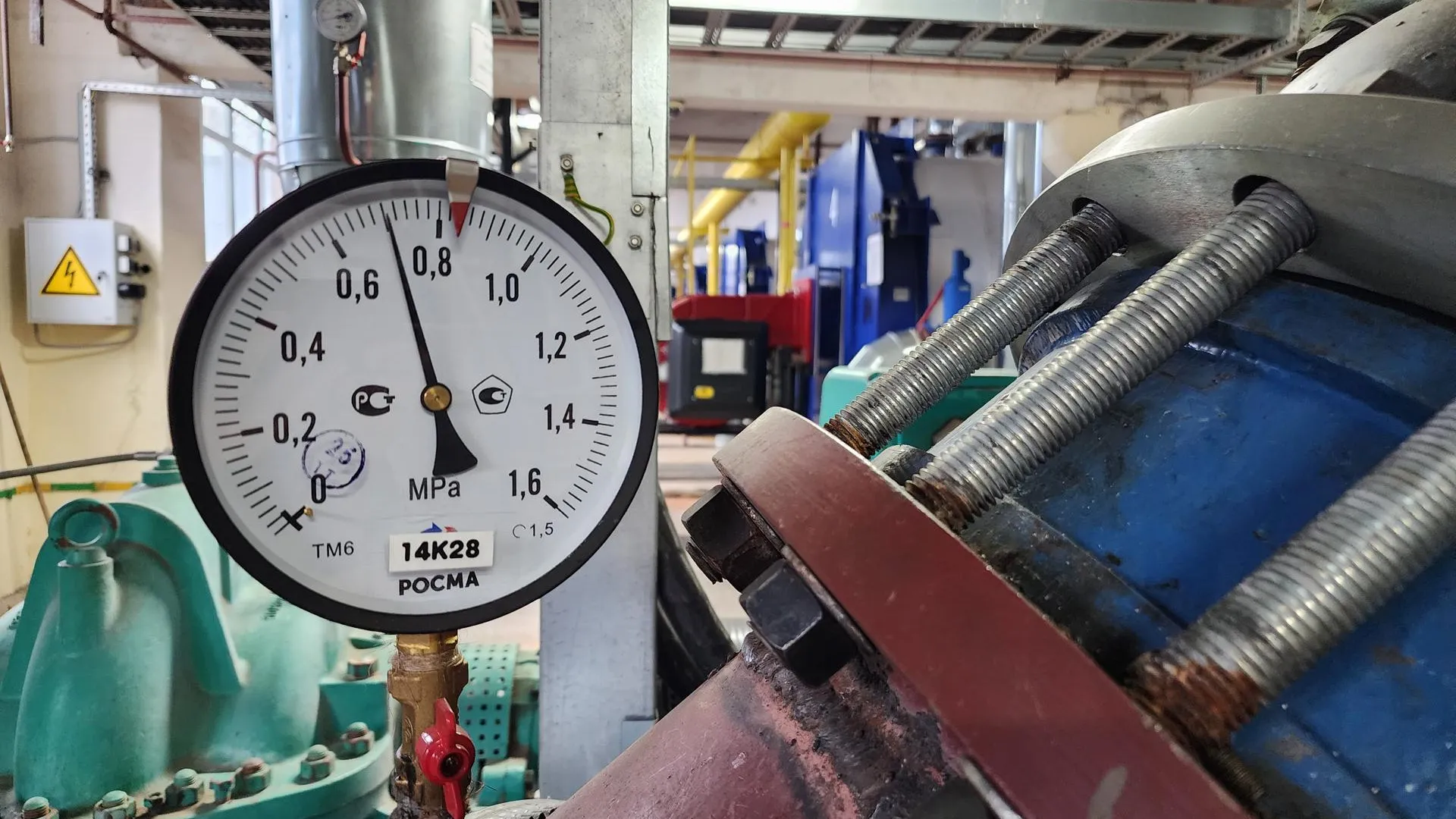 Фото: REGIONS/Наталья Дорошева