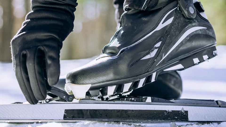 Фото: istockphoto.com/Elena Perova