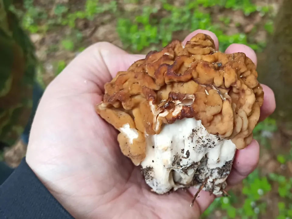 Фото: МедиаБанк Подмосковья/Дмитрий Павлов