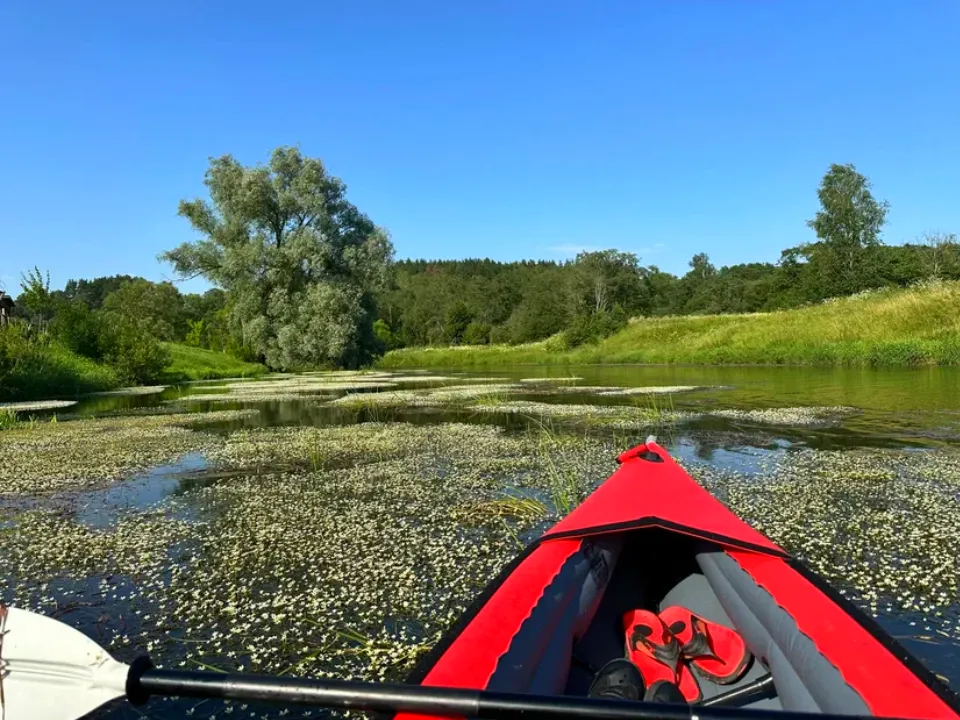 Фото: пресс-служба администрации Можайского м.о.
