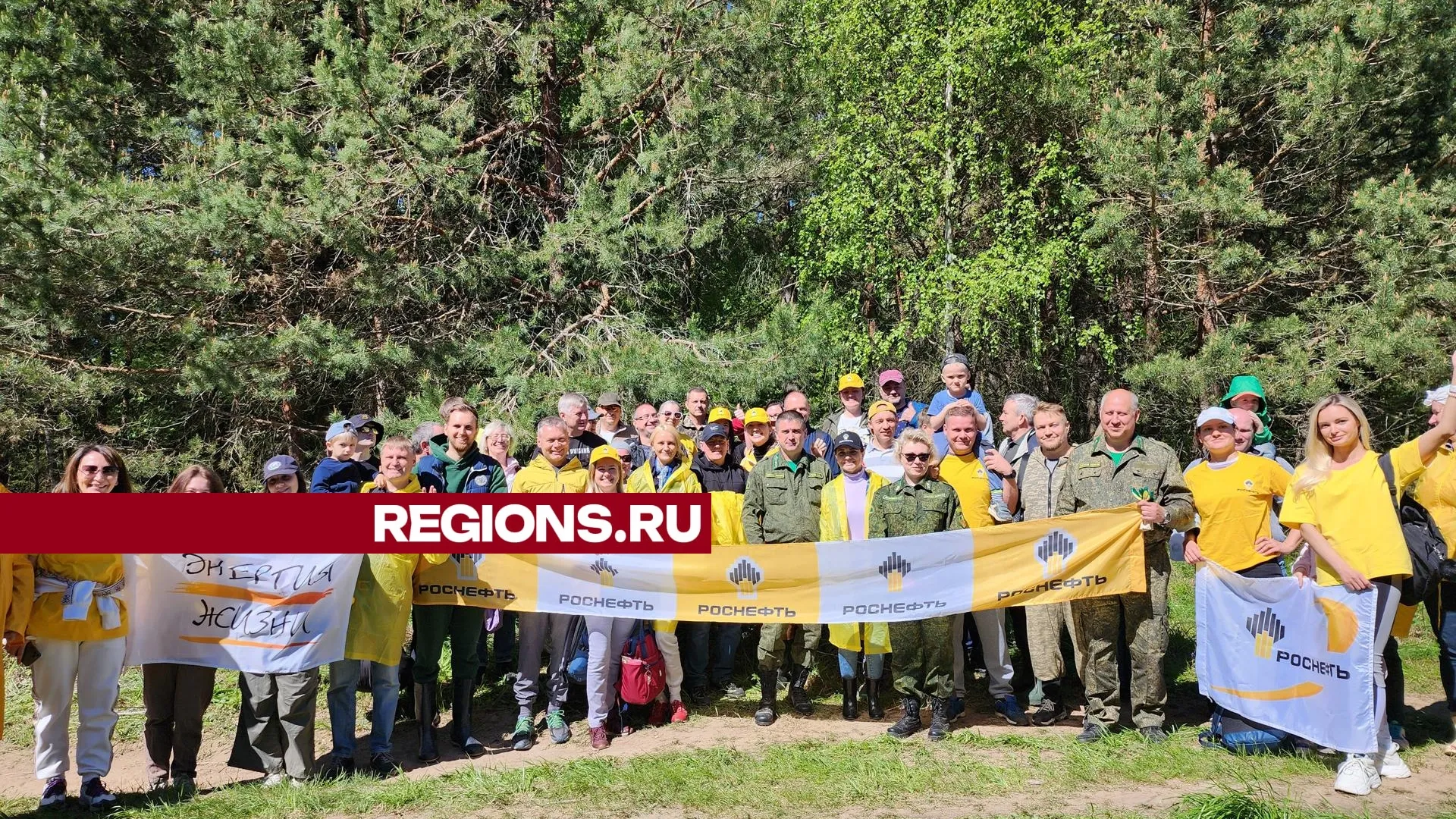Фото: Александр Степушкин