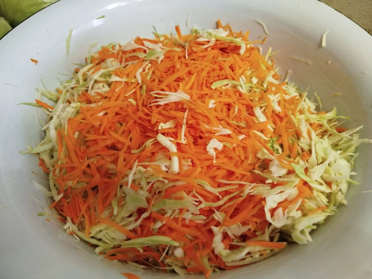 Фото: REGIONS\Юлия Куделькина