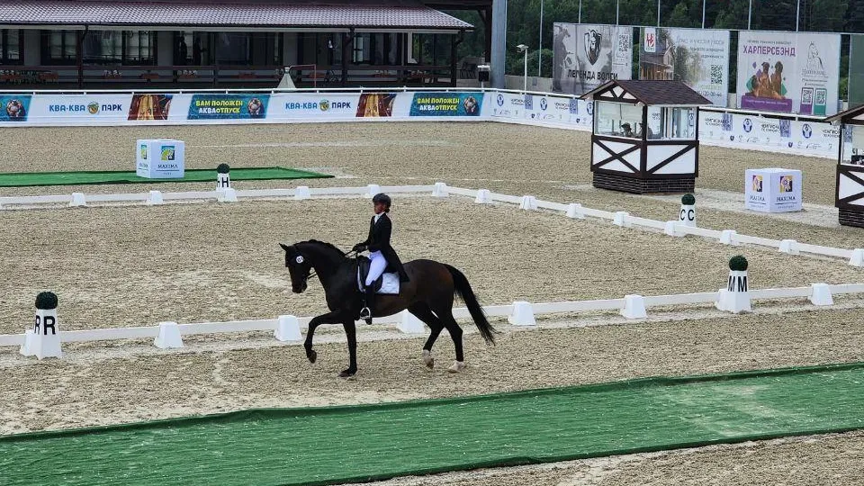 Фото: Евгений Рой