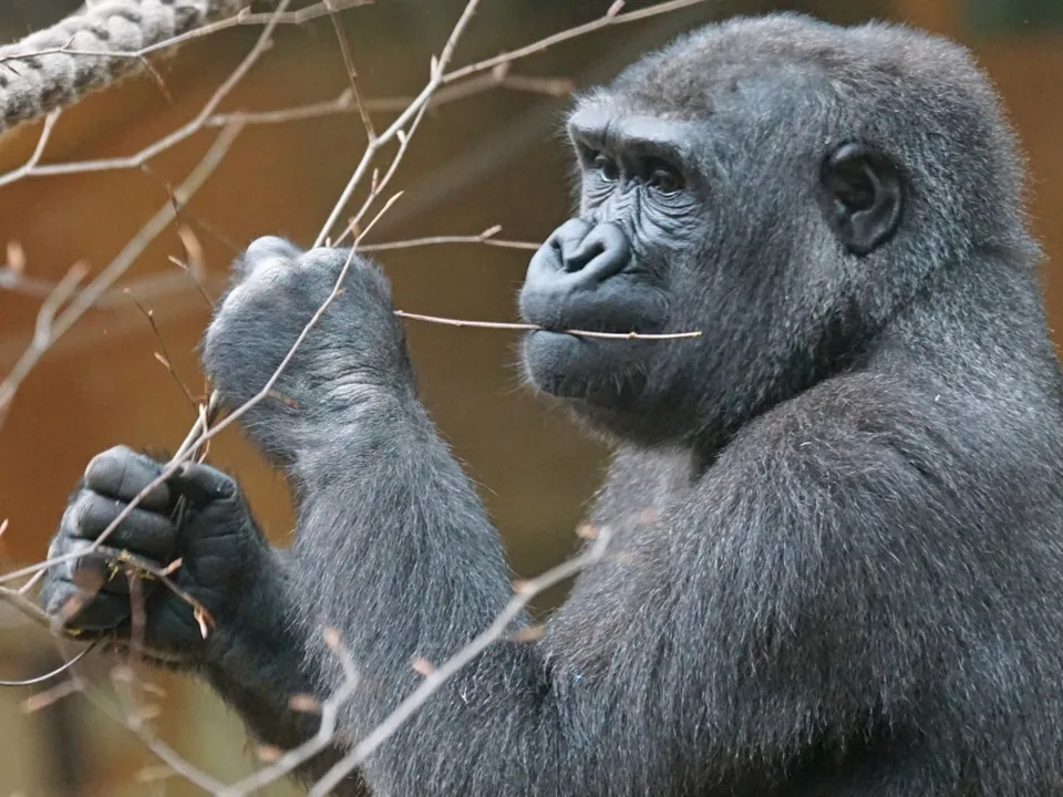 Фото: pxhere.com