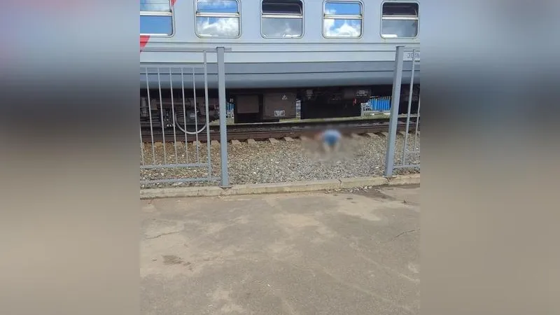 Залип в телефоне: парень погиб, не заметив электричку в Щелкове