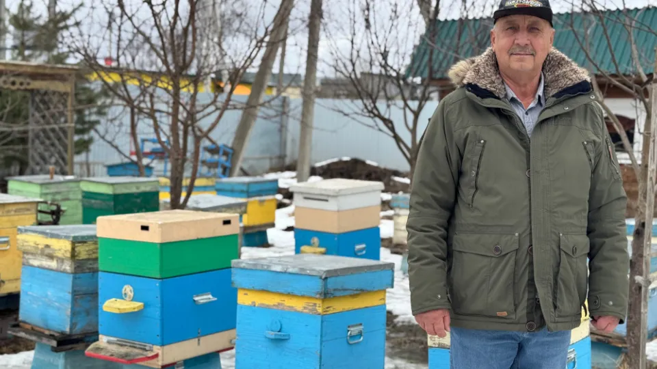 Фото: МедиаБанк Подмосковья/Татьяна Рунова