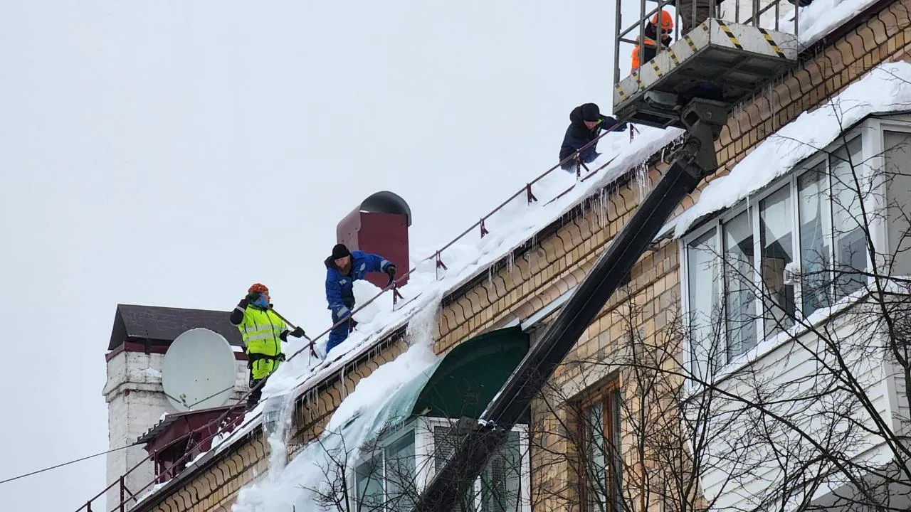 REGIONS/Ольга Аввакумова