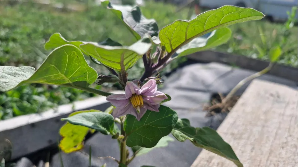 Фото: REGIONS/Наталия Надточая