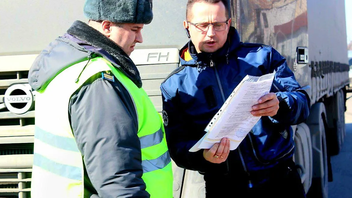 Фото: Администрация Краснознаменска