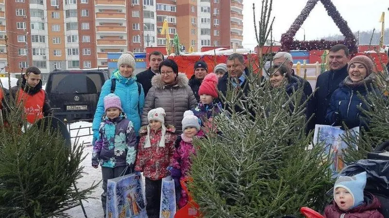 Первый в Подмосковье елочный базар открылся в Красногорске