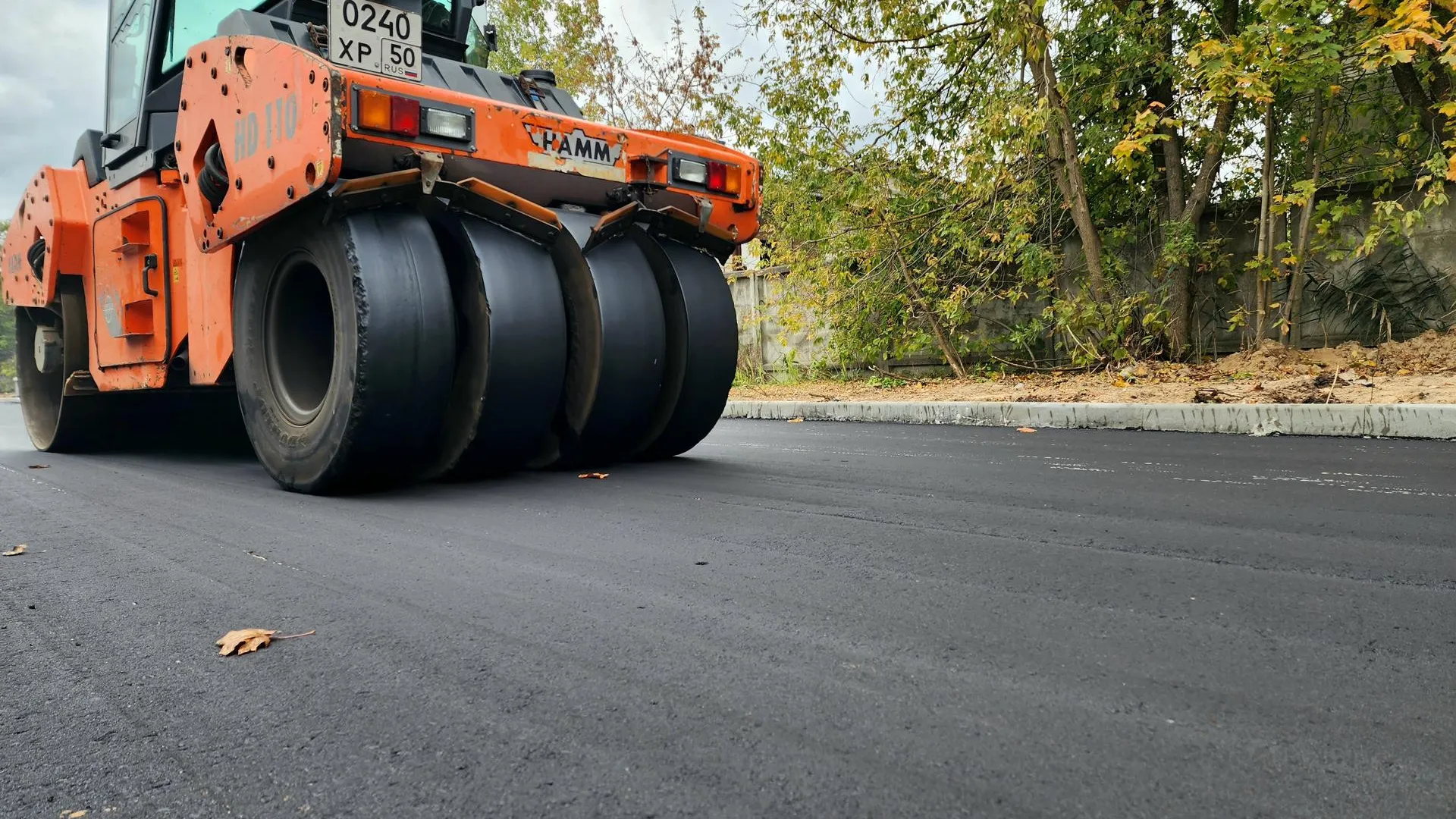 Фото: МедиаБанк Подмосковья/Евгения Герасимова