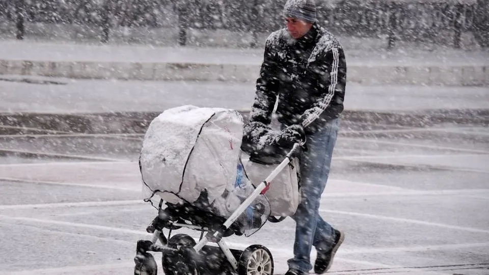 Фото: Медиасток.рф