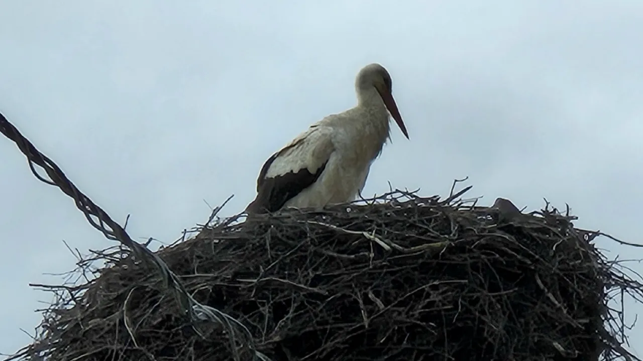 vk.com/Музей-заповедник «Бородинское поле»