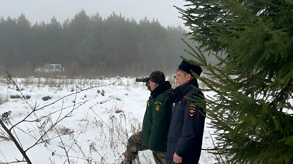 Фото: t.me/lesnichestvoLukhovitsy