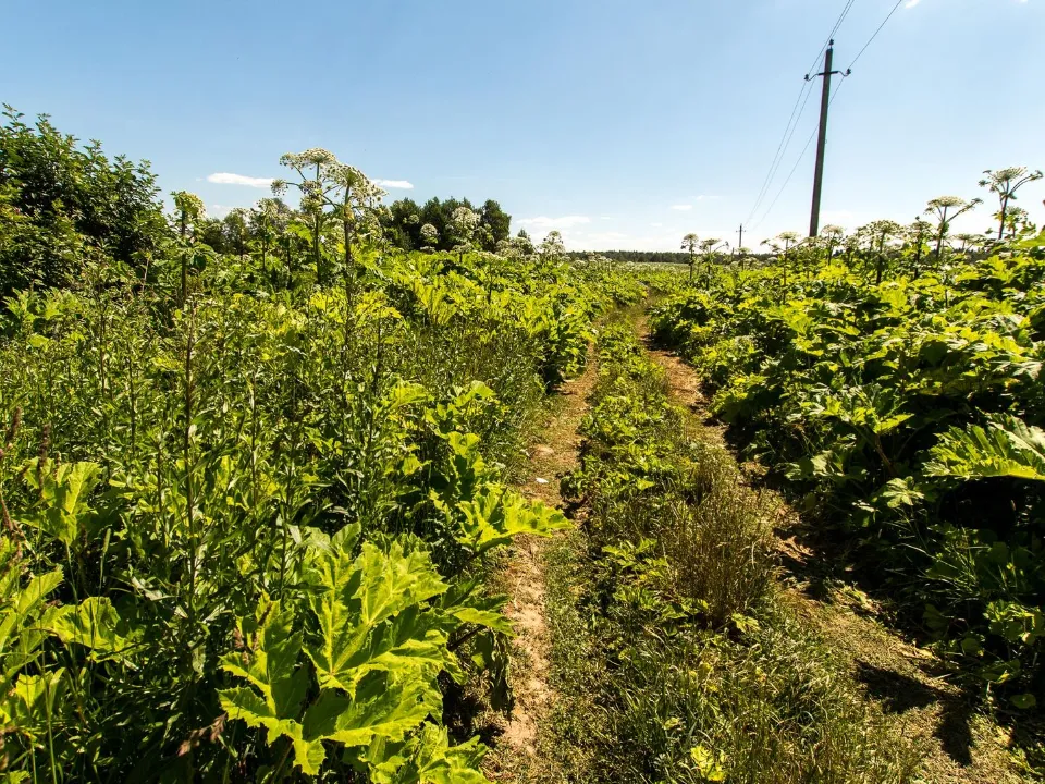 Фото: медиасток.рф