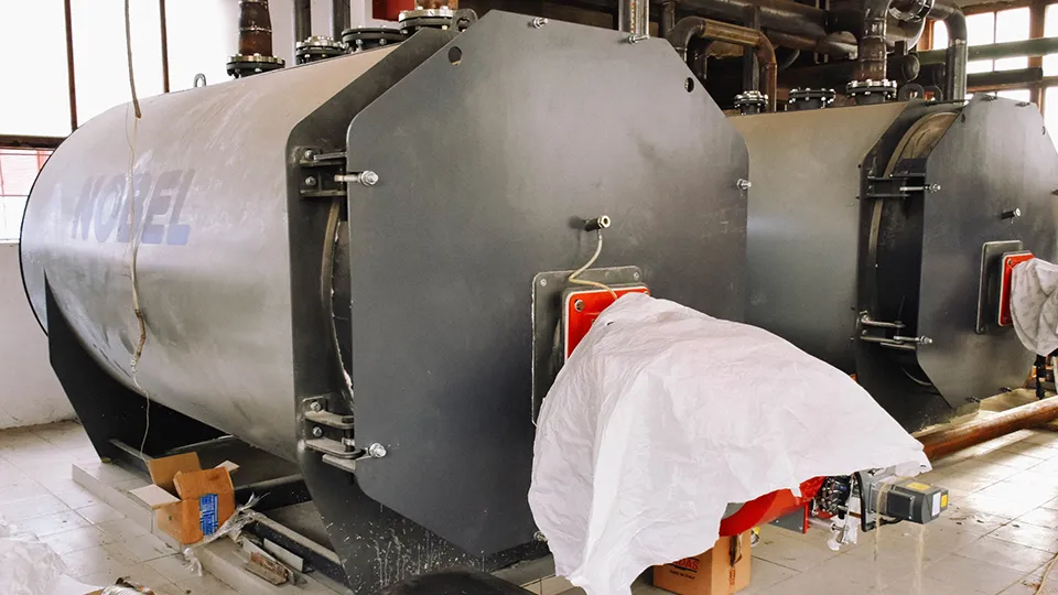 Фото: пресс-служба администрации г.о. Пушкинский