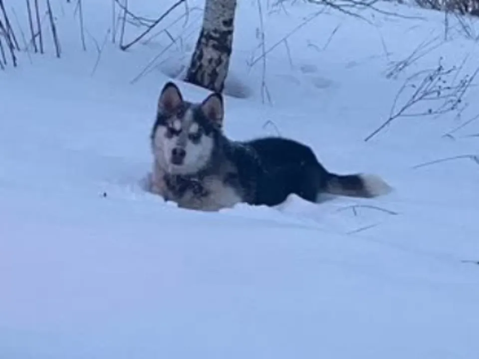 Фото: городская доска объявлений