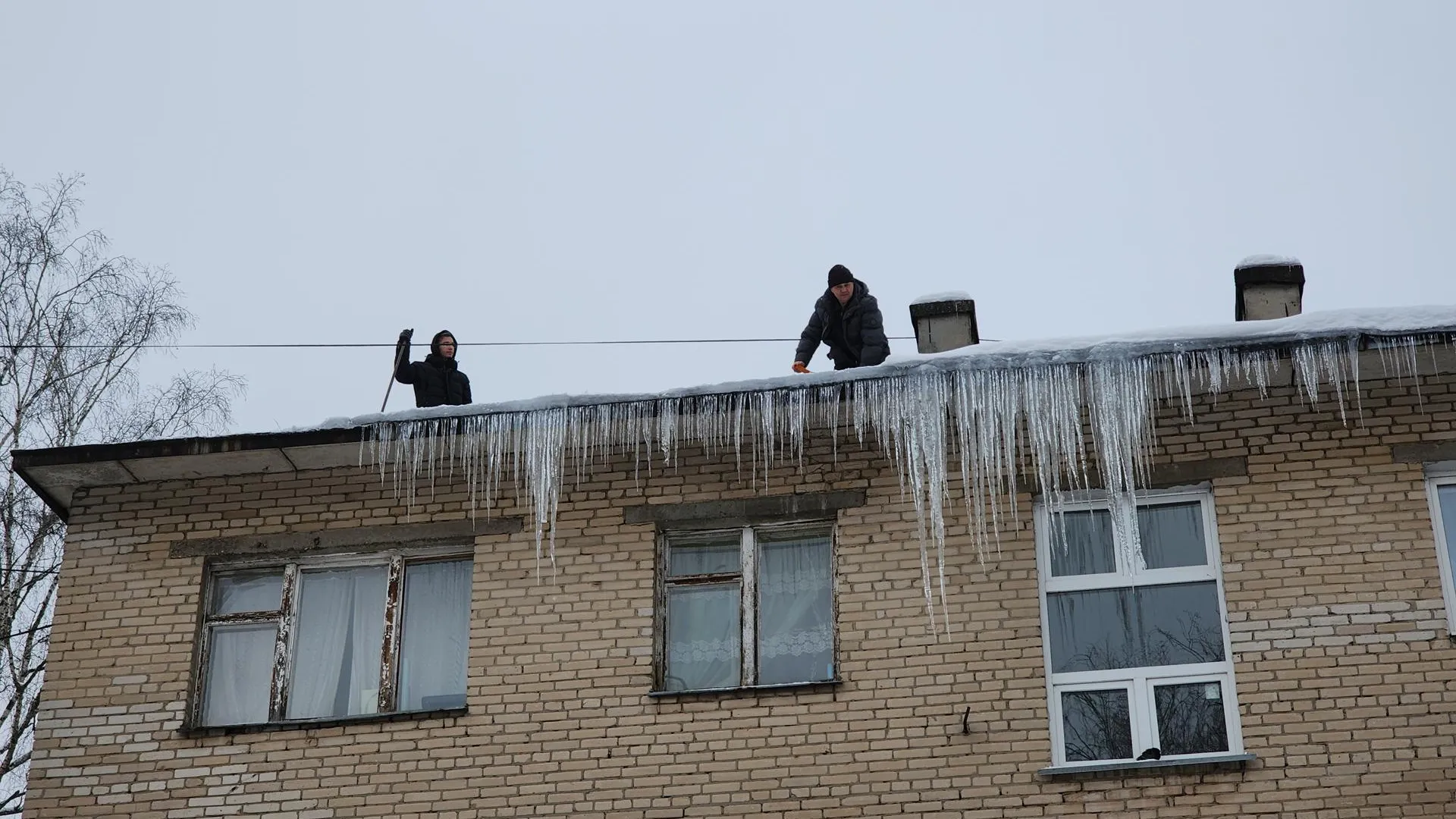 Фото: REGIONS/Иван Петрушин