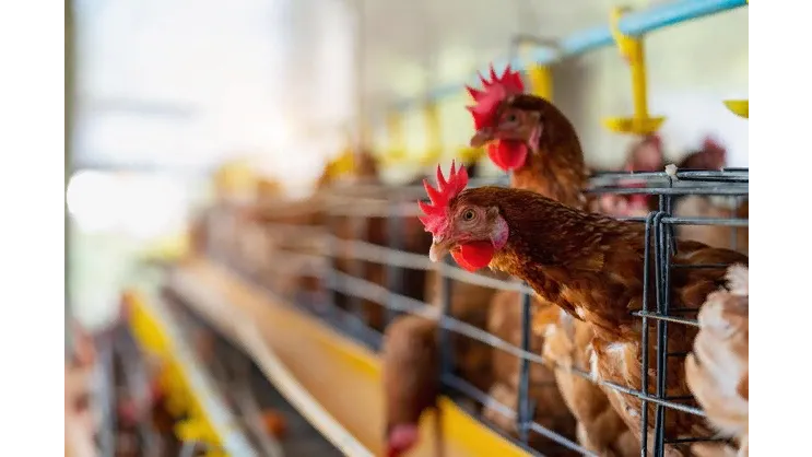 Источник: https://www.freepik.com/