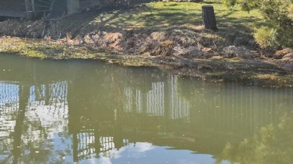 Фото: Министерство экологии и природопользования Московской области