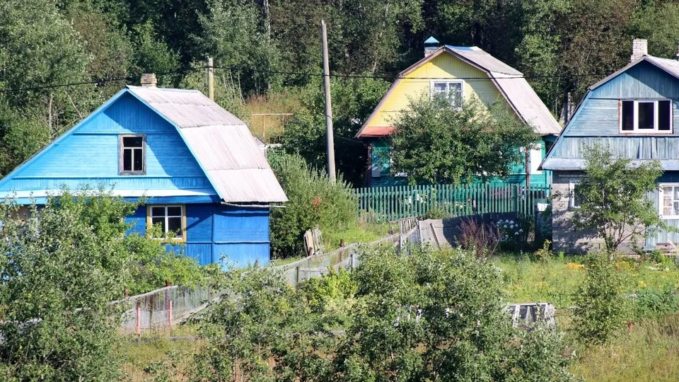 Фото: unsplash.com