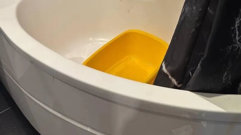 Прокуратура Санкт-Петербурга