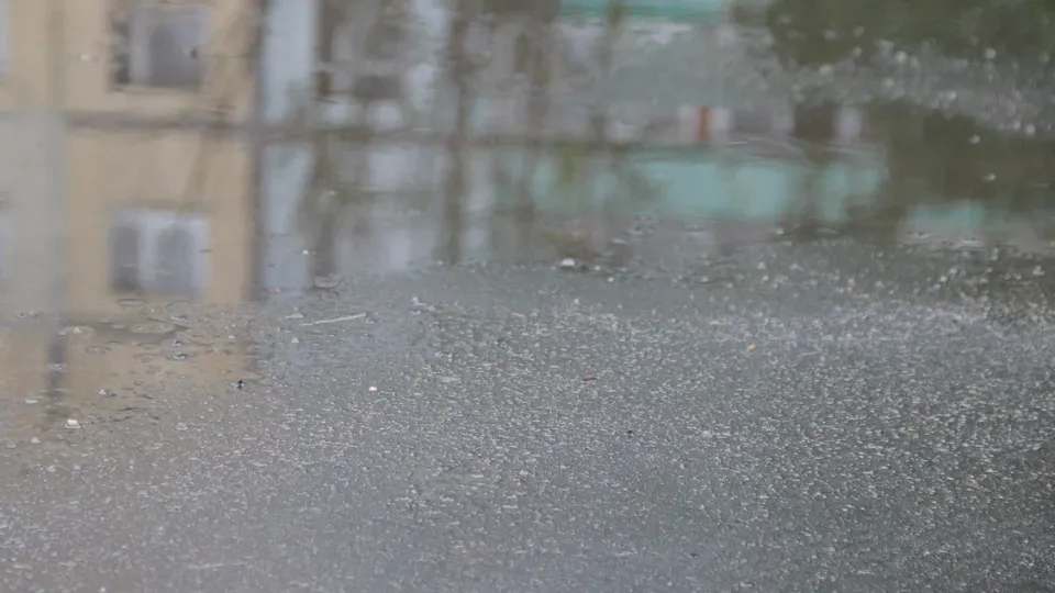 Фото: REGIONS/Василий Тремасов