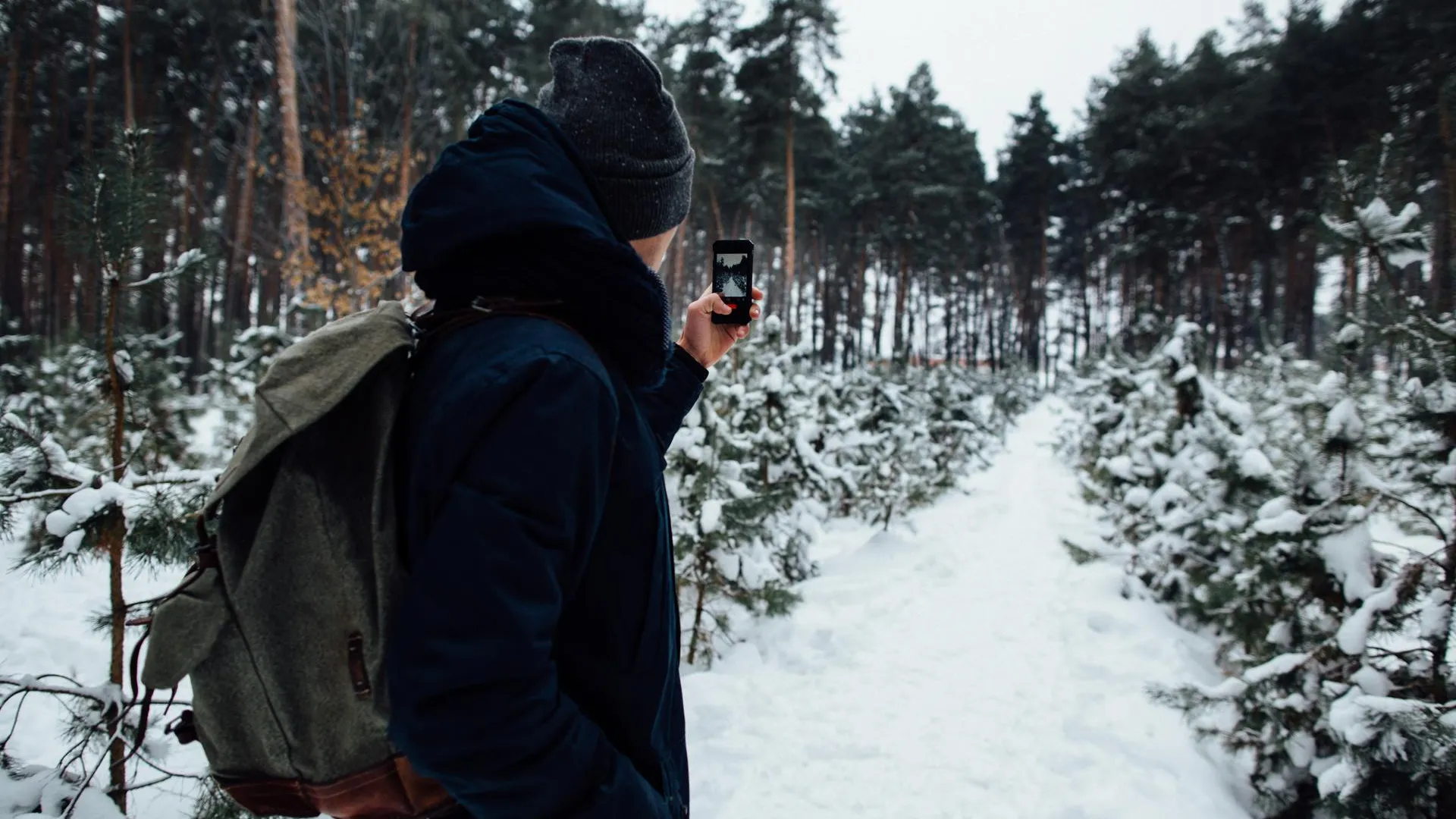 Источник: Freepik