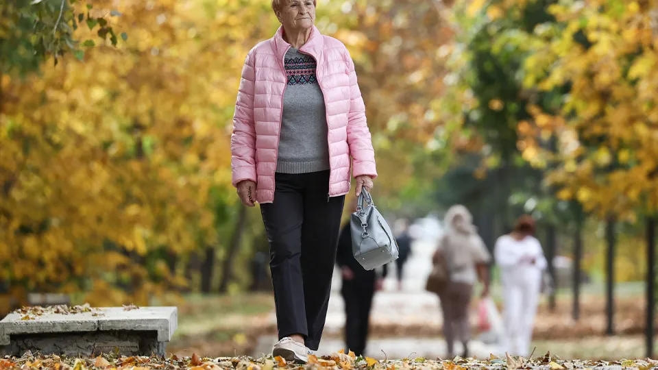 Фото: ТАСС/Сергей Мальгавко