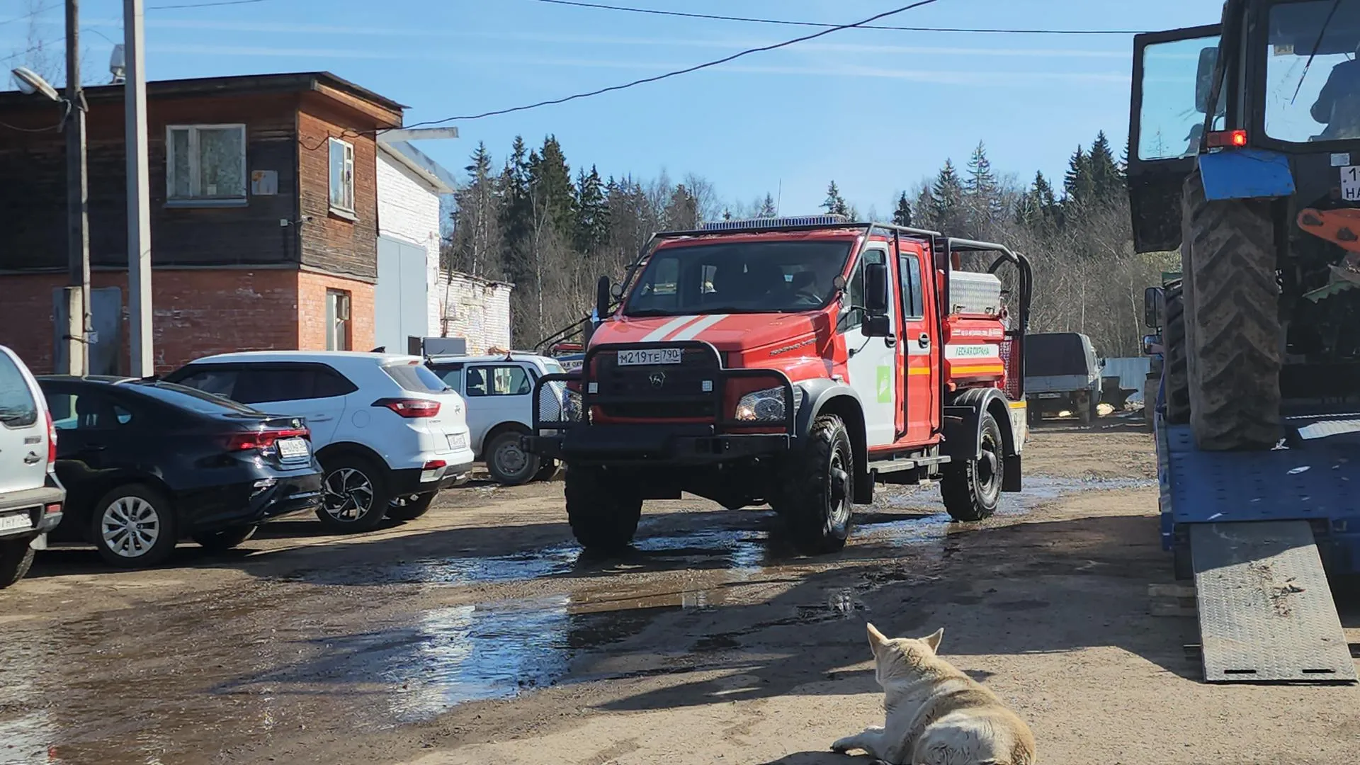 МедиаБанк Подмосковья/Екатерина Морозова
