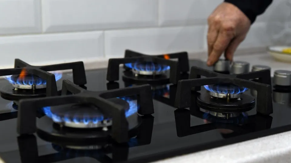 Фото: пресс-служба губернатора и правительства Московской области