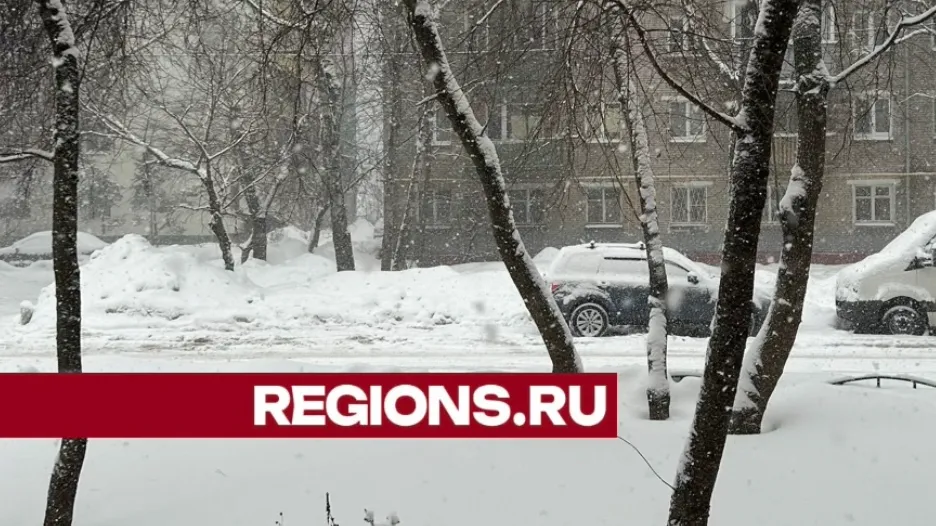 Фото: Юлия Дижевская