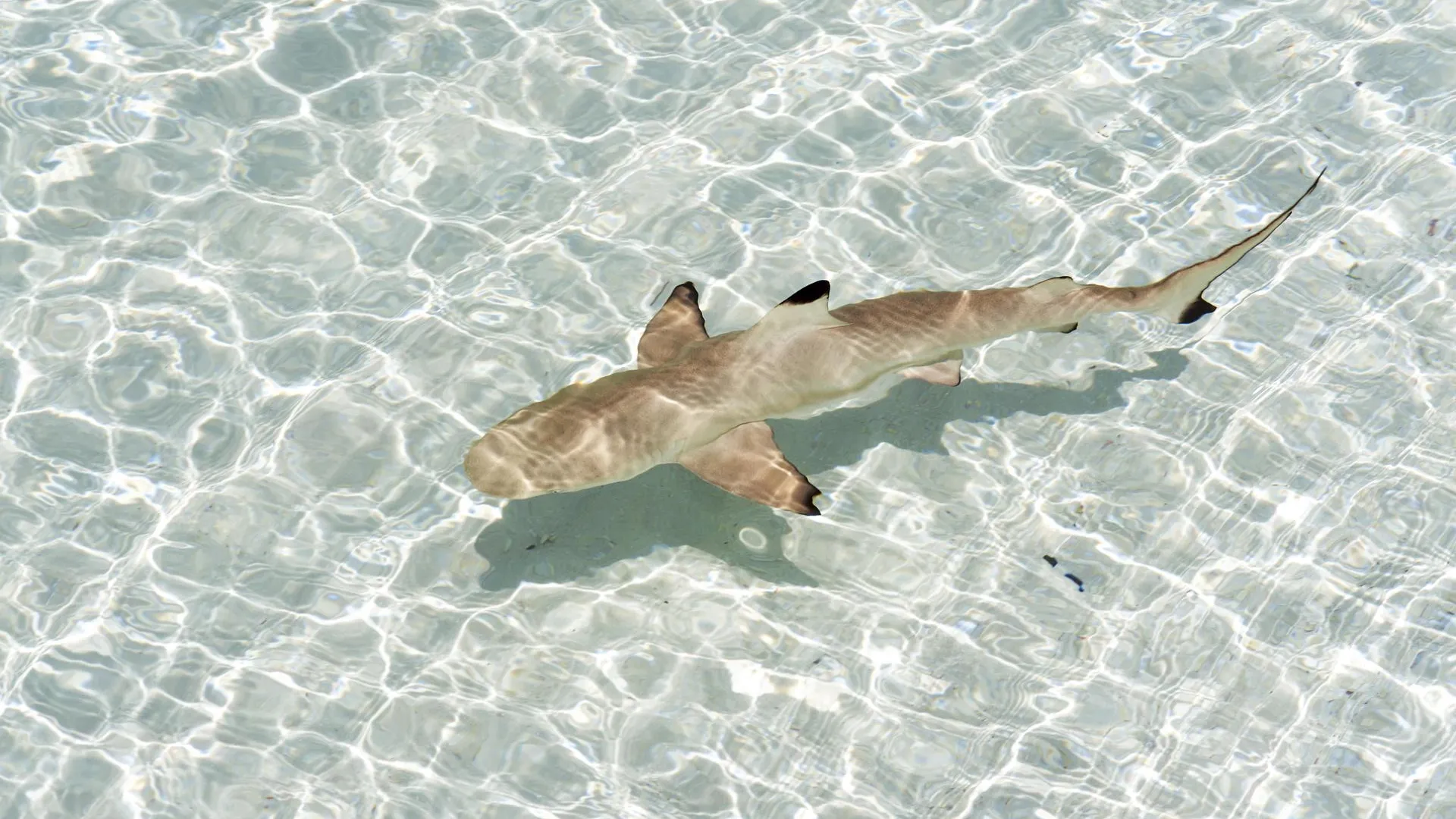 Gerald Nowak/imageBROKER.com