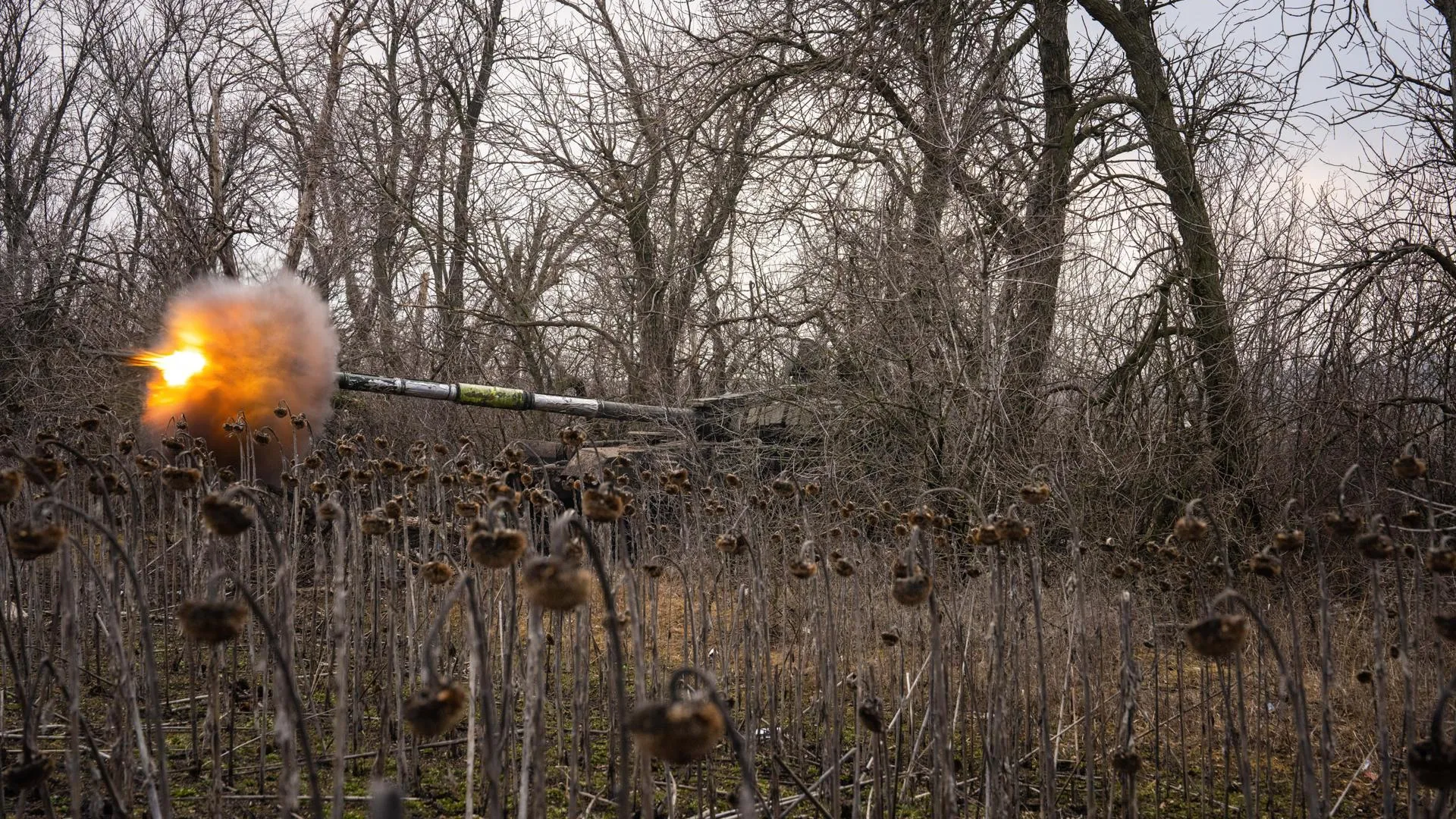 Laurel Chor/Keystone Press Agency/globallookpress