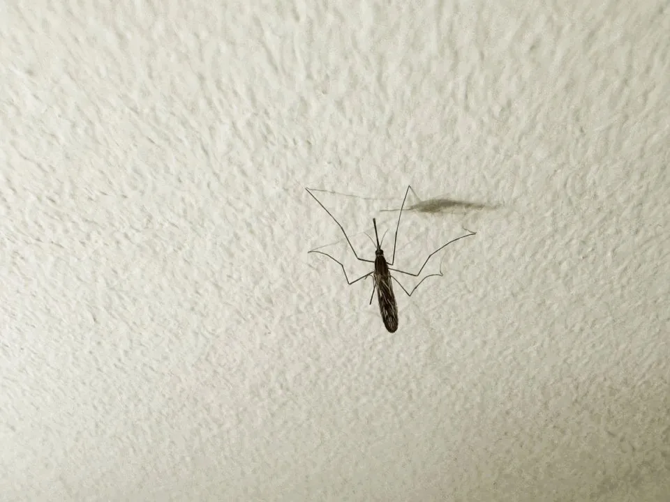 Фото: REGIONS/Илья Попов