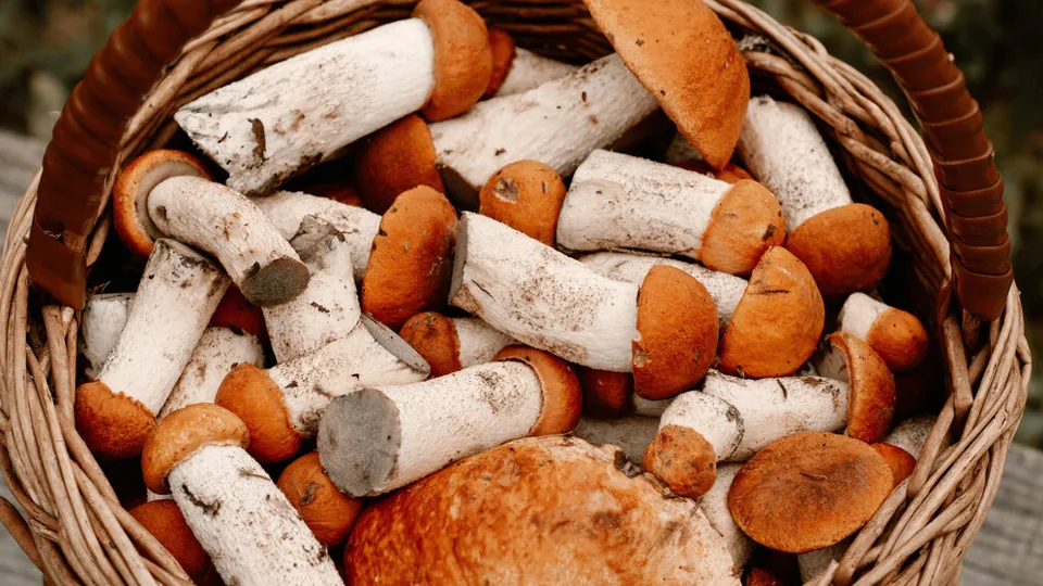 Фото: freepik.com