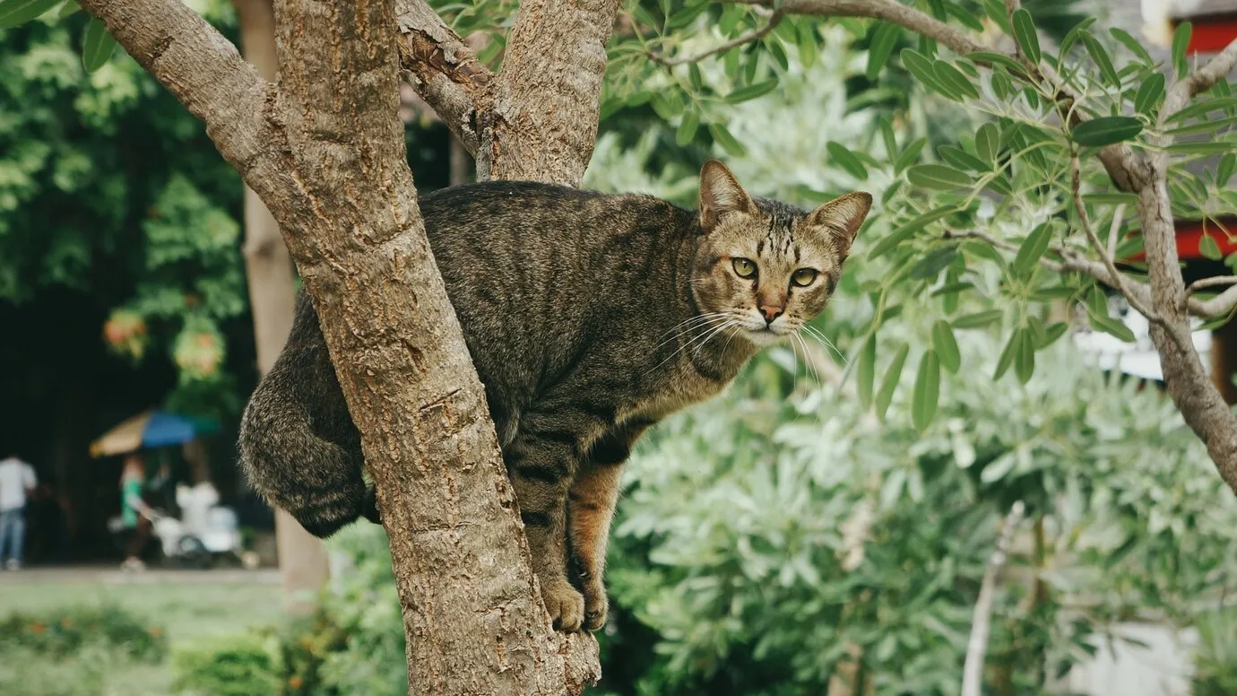 Фото: freepik.com