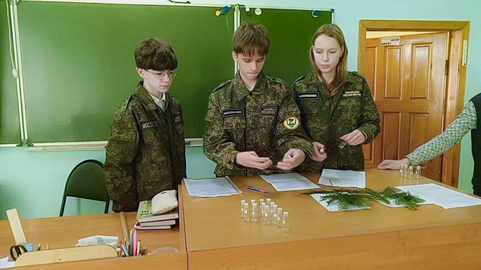 Фото: Комитет лесного хозяйства Московской области