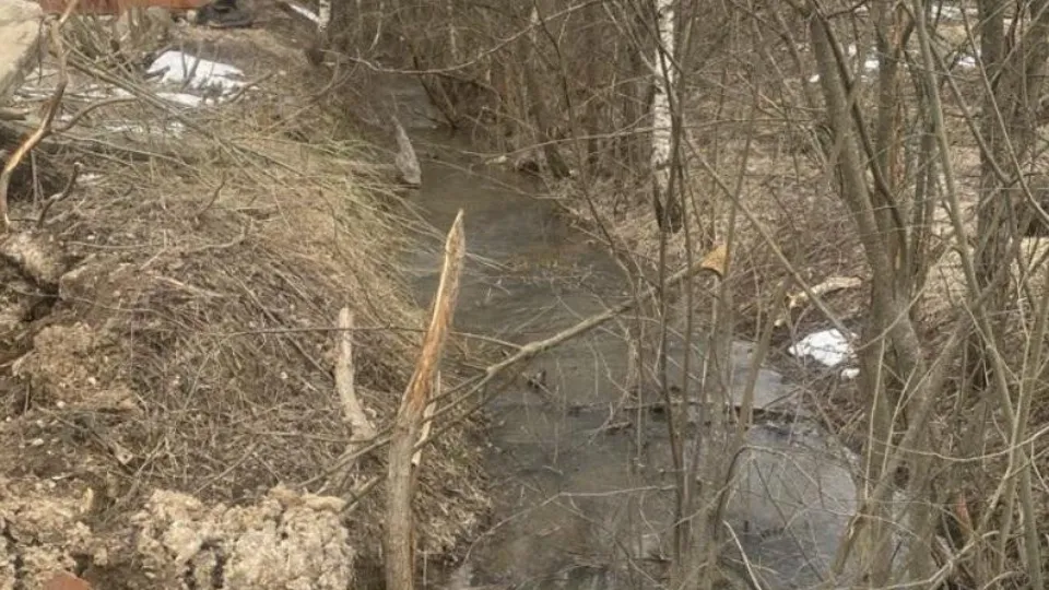 Фото: Министерство экологии и природопользования Московской области