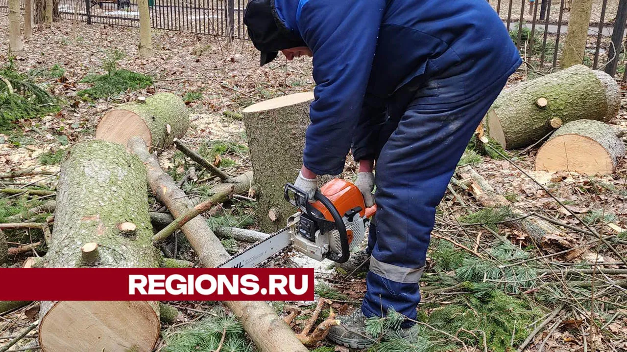 Фото: Артем Мишуков