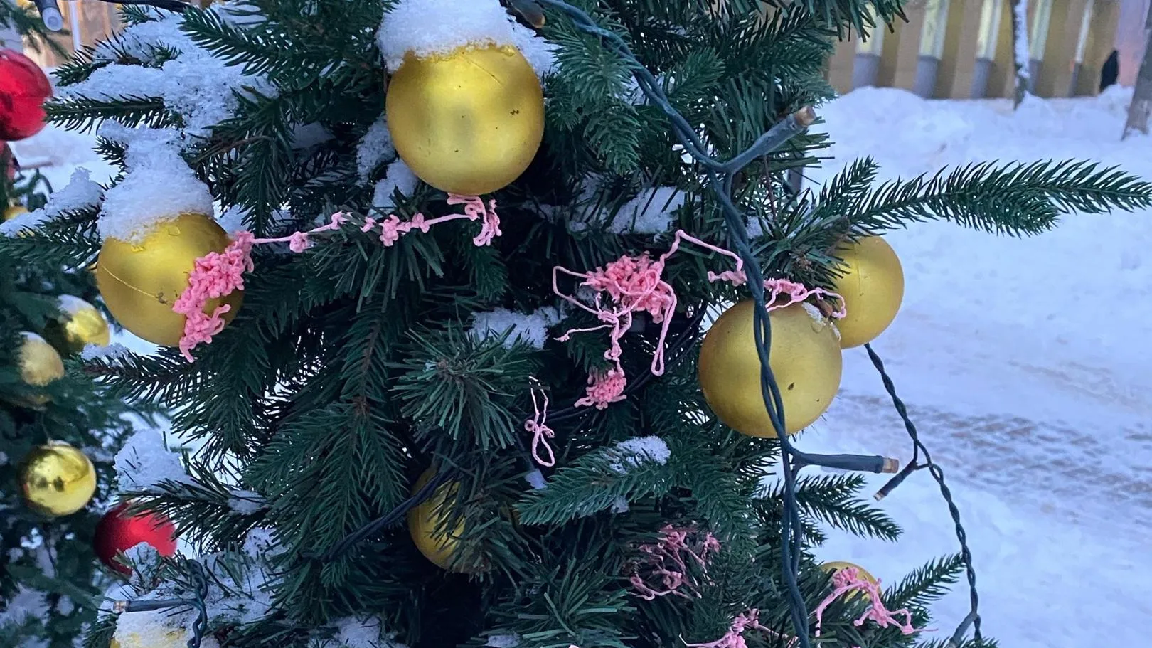 Фото: Подслушано | Истра / ВКонтакте