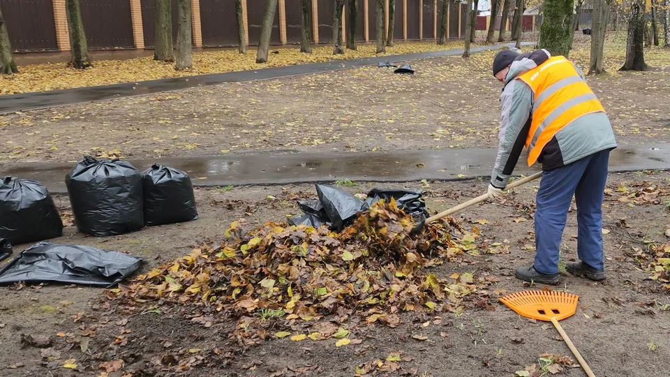 Фото: МедиаБанк Подмосковья/Ольга Шеметова