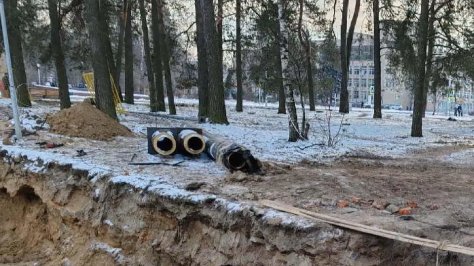 Фото: пресс-служба администрации г.о. Черноголовка